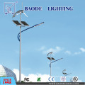 8m Pole 60W Solar LED Straßenleuchte (BDTYN860-1)